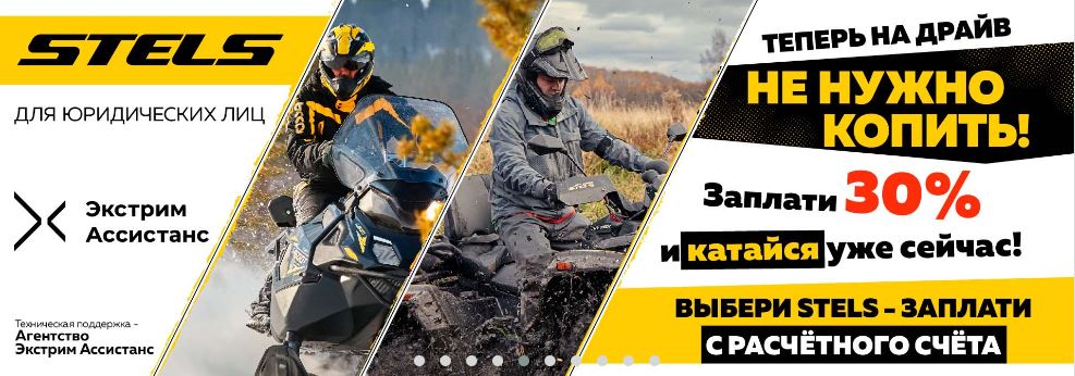 стелс гепард
